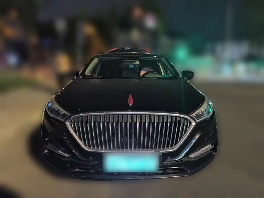 Hongqi Hongqi H5 — миниатюра 2