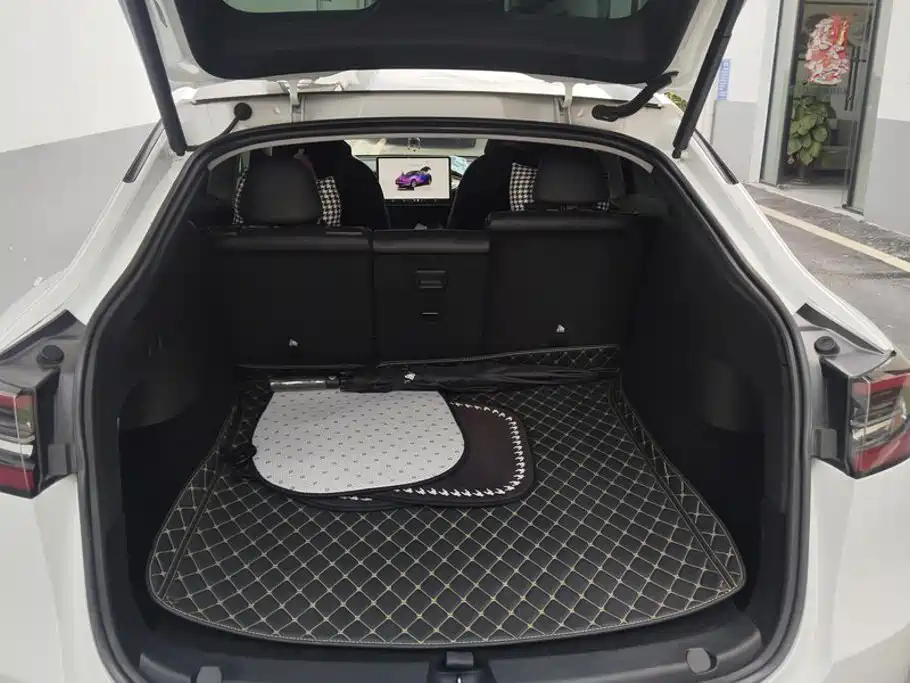 Tesla Model Y — миниатюра 4