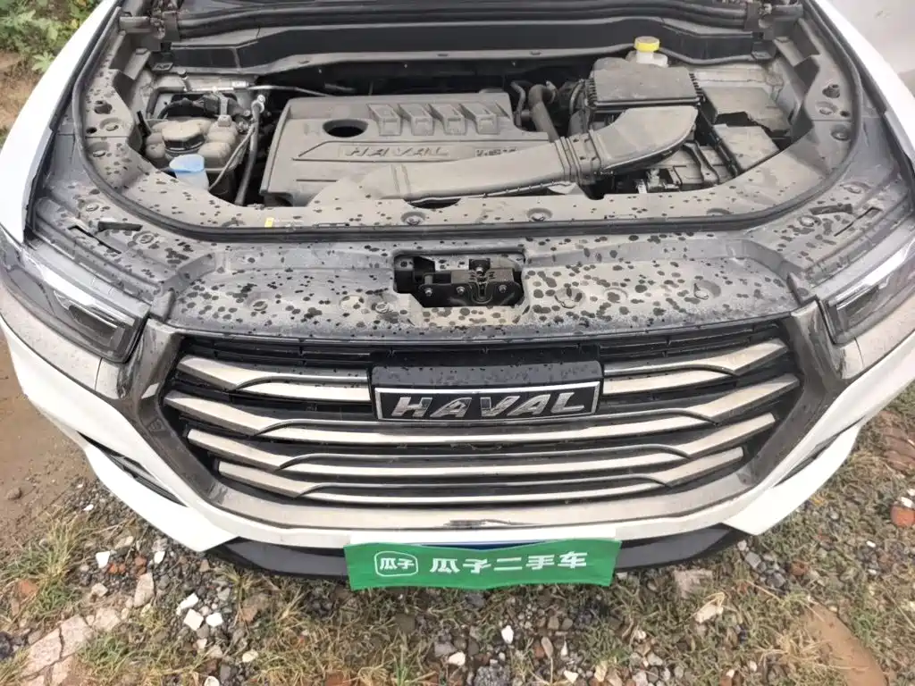 Haval H6 — миниатюра 11
