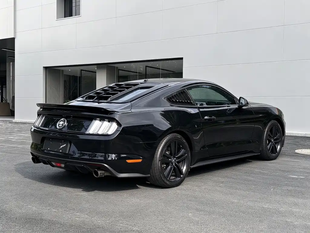 Ford Mustang — миниатюра 13