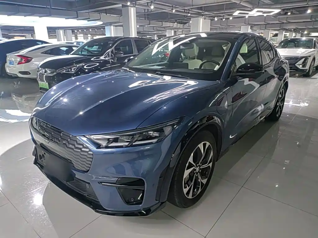 Ford 2021 Luxury