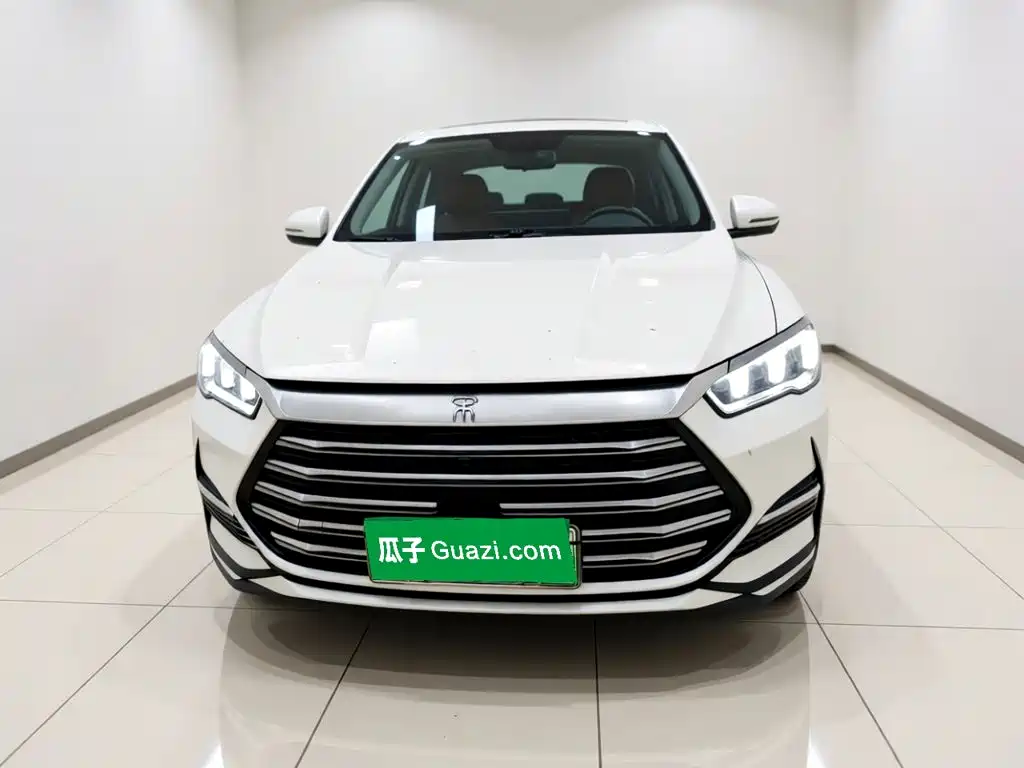 BYD Pro New Energy — миниатюра 2