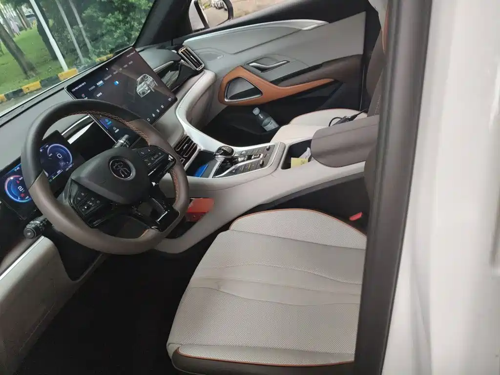 BYD Pro New Energy — миниатюра 11