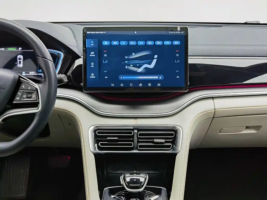 BYD PLUS New Energy — миниатюра 12