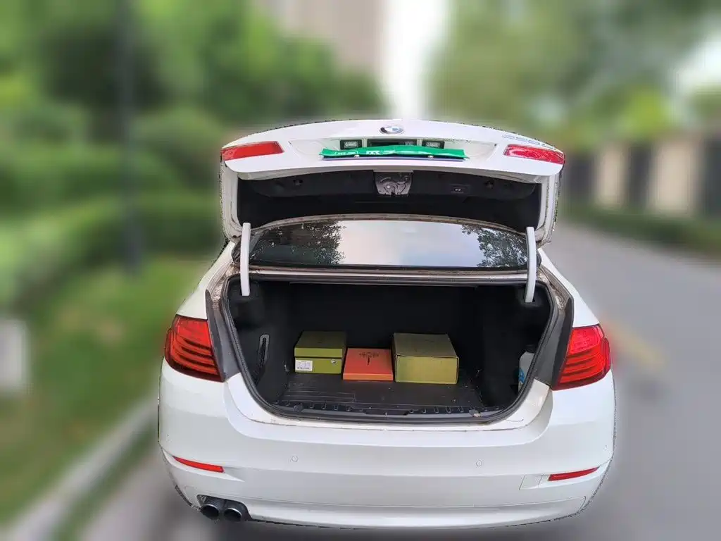 BMW 5 Series — миниатюра 16