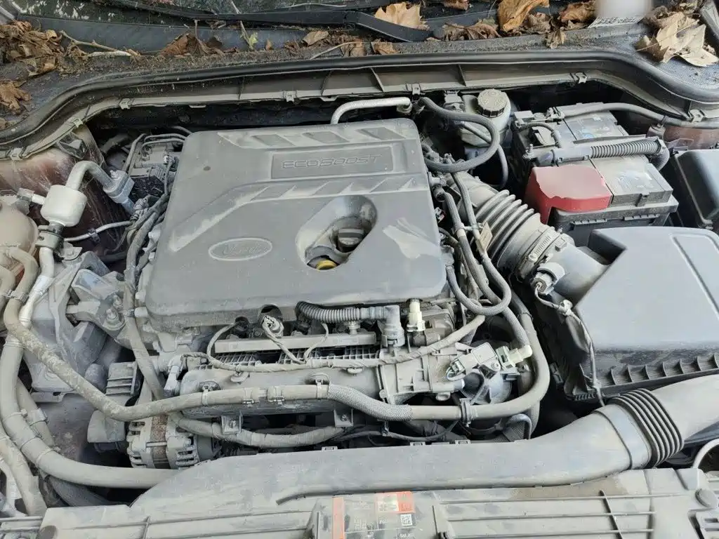 Ford Focus Active — миниатюра 16