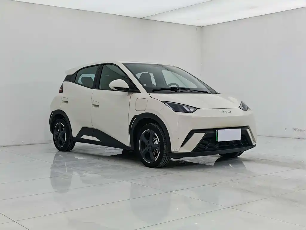 BYD Seagull 2024 305km Freedom