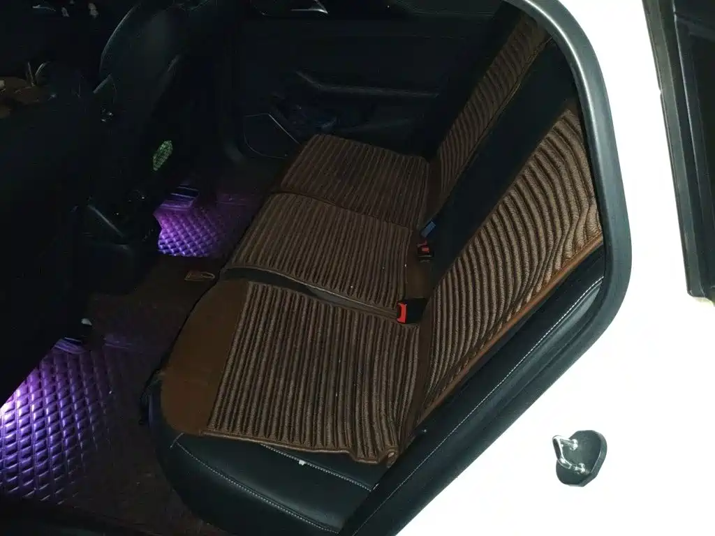 Hongqi Hongqi H5 — миниатюра 14