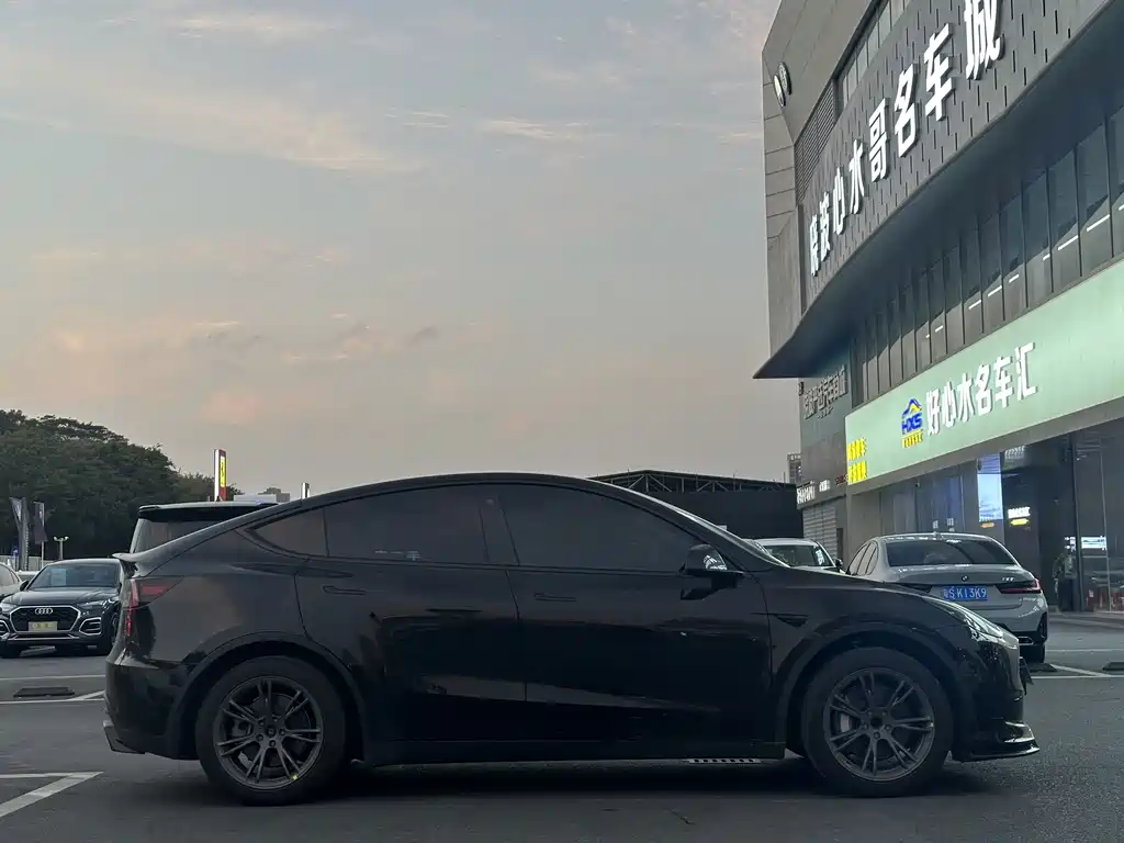 Tesla Model Y — миниатюра 5