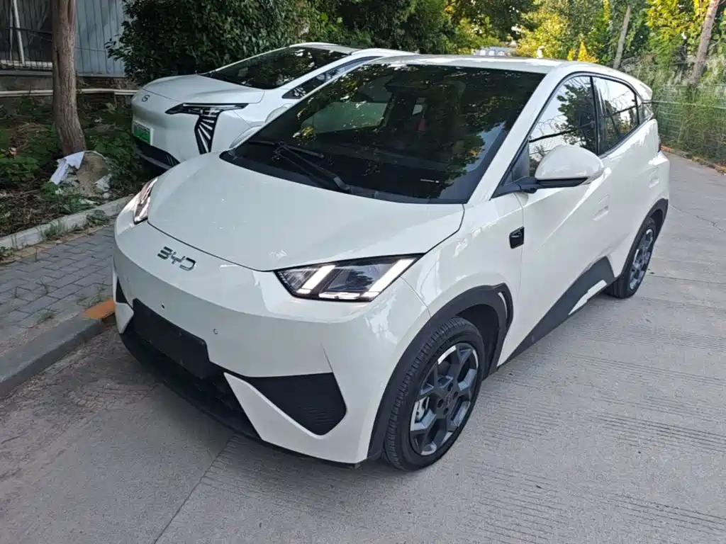 BYD Seagull
