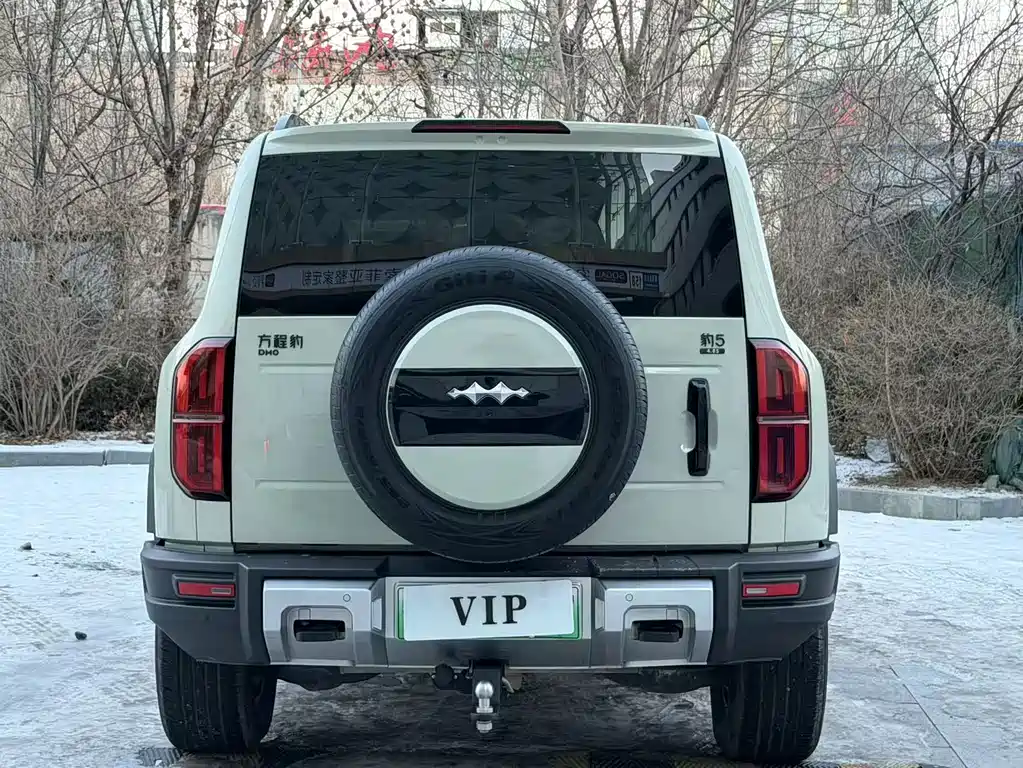 FANG CHENG BAO LEOPARD 5