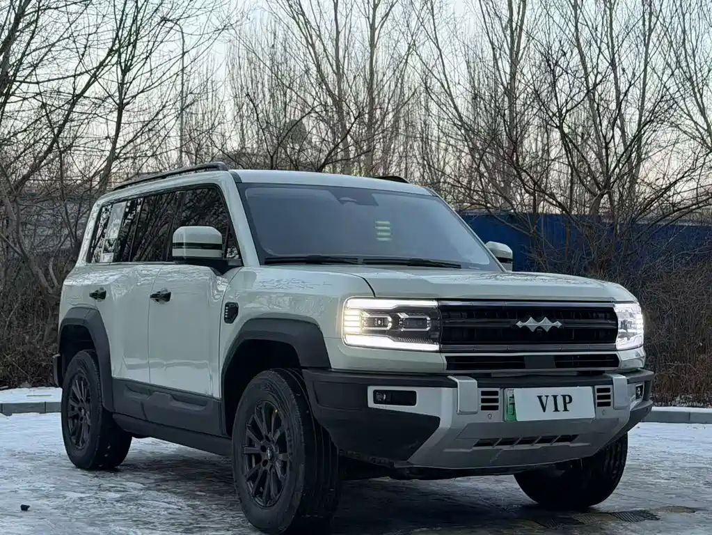 FANG CHENG BAO LEOPARD 5