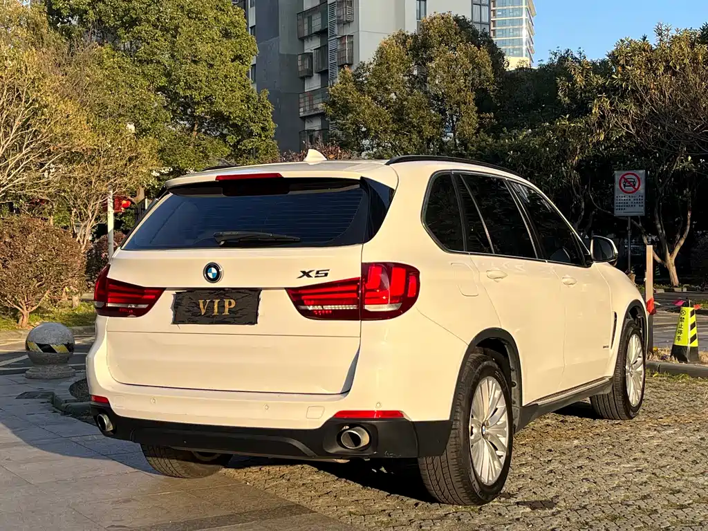 BMW X5 (Import) — миниатюра 13