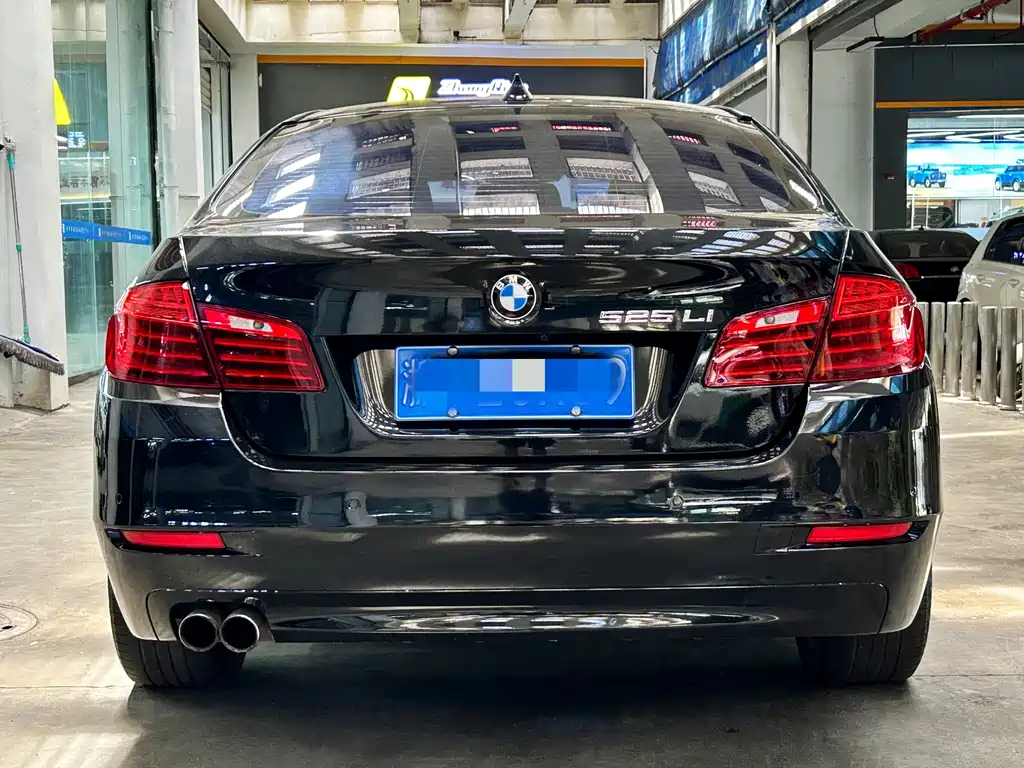 BMW 5 Series — миниатюра 5