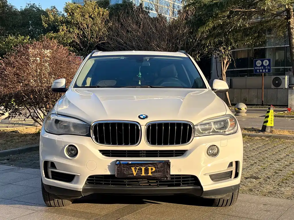 BMW X5 (Import) — миниатюра 2