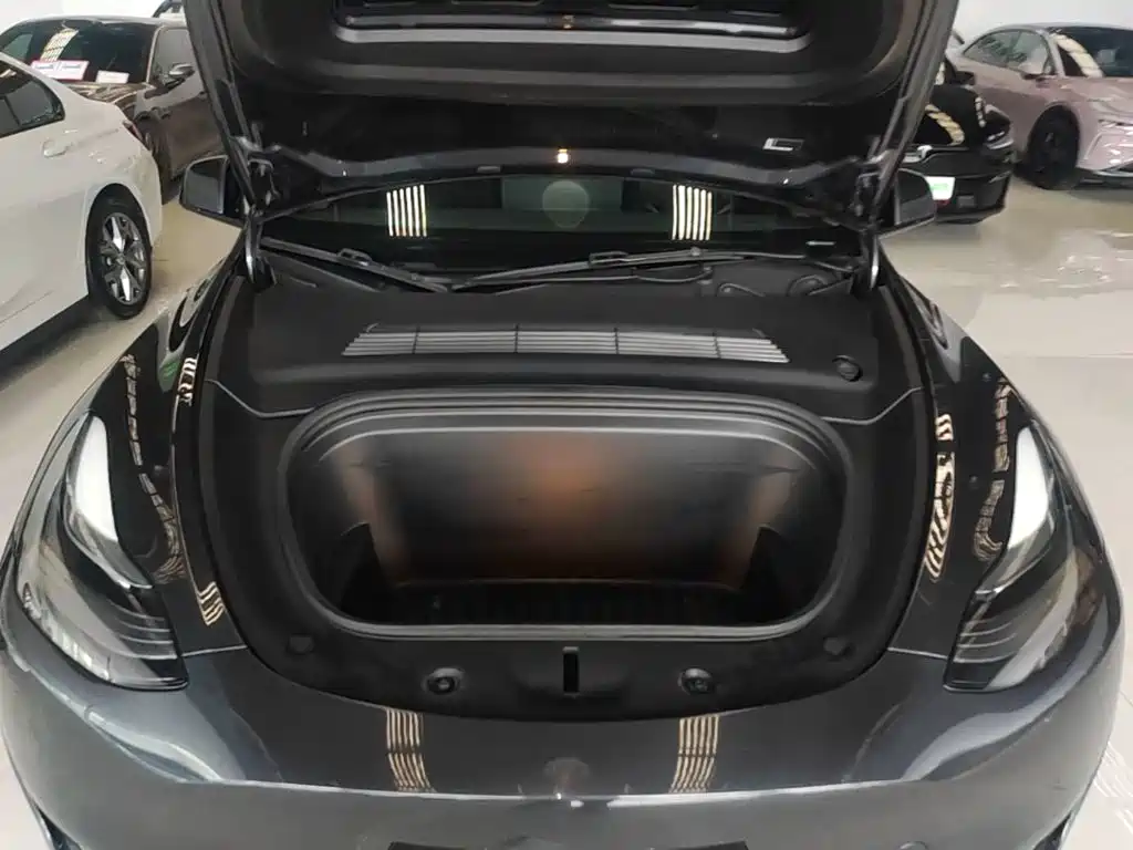 Tesla Model Y — миниатюра 20