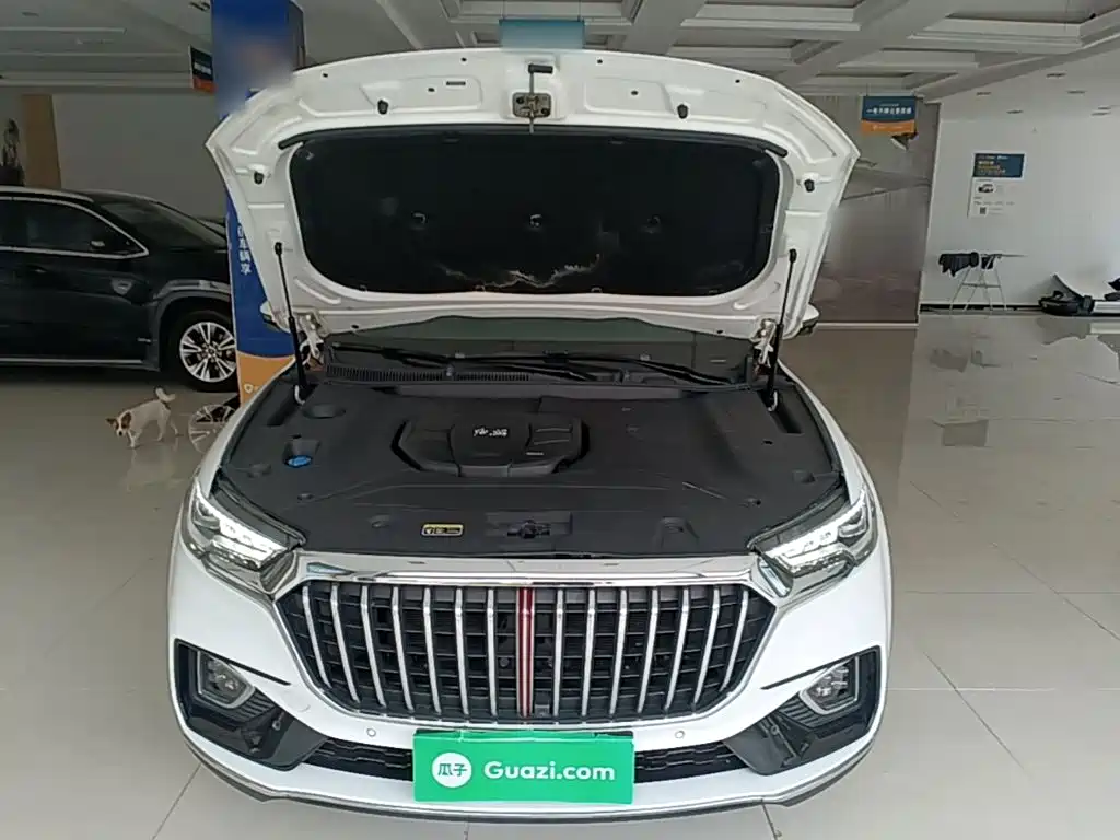 Hongqi Hongqi HS5 — миниатюра 20