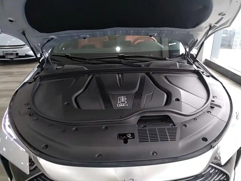 BYD Tang New Energy — миниатюра 20