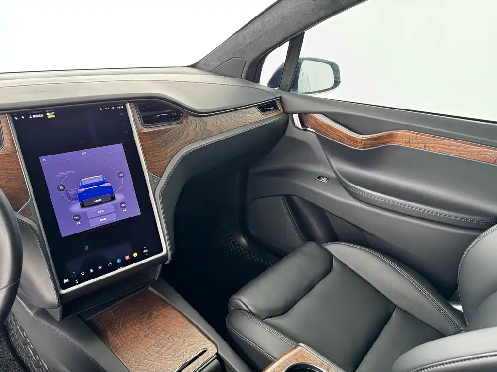 Tesla Model X — миниатюра 6