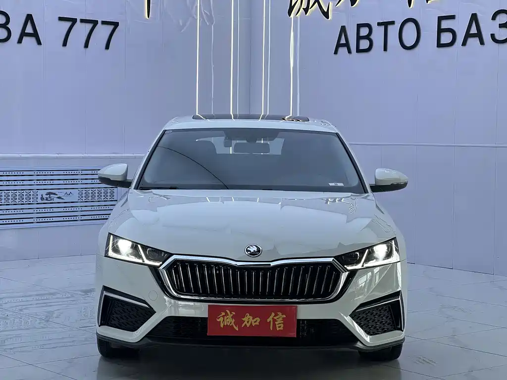Skoda Octavia — миниатюра 2