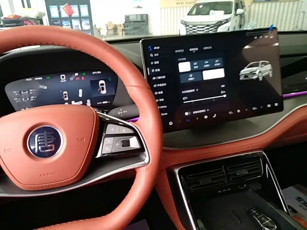 BYD Tang New Energy — миниатюра 14