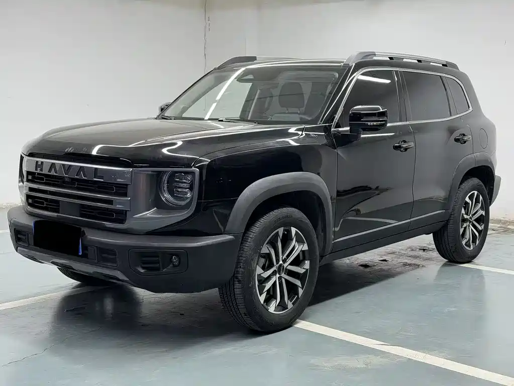HAVAL BIG DOG