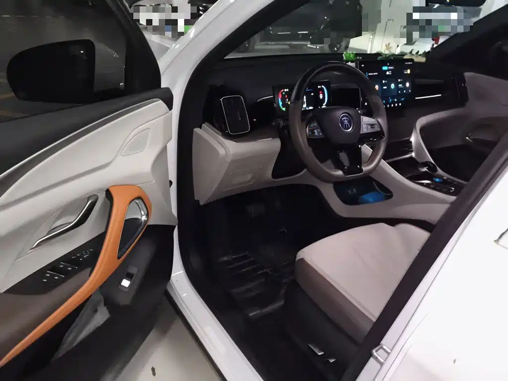 BYD Pro New Energy — миниатюра 17