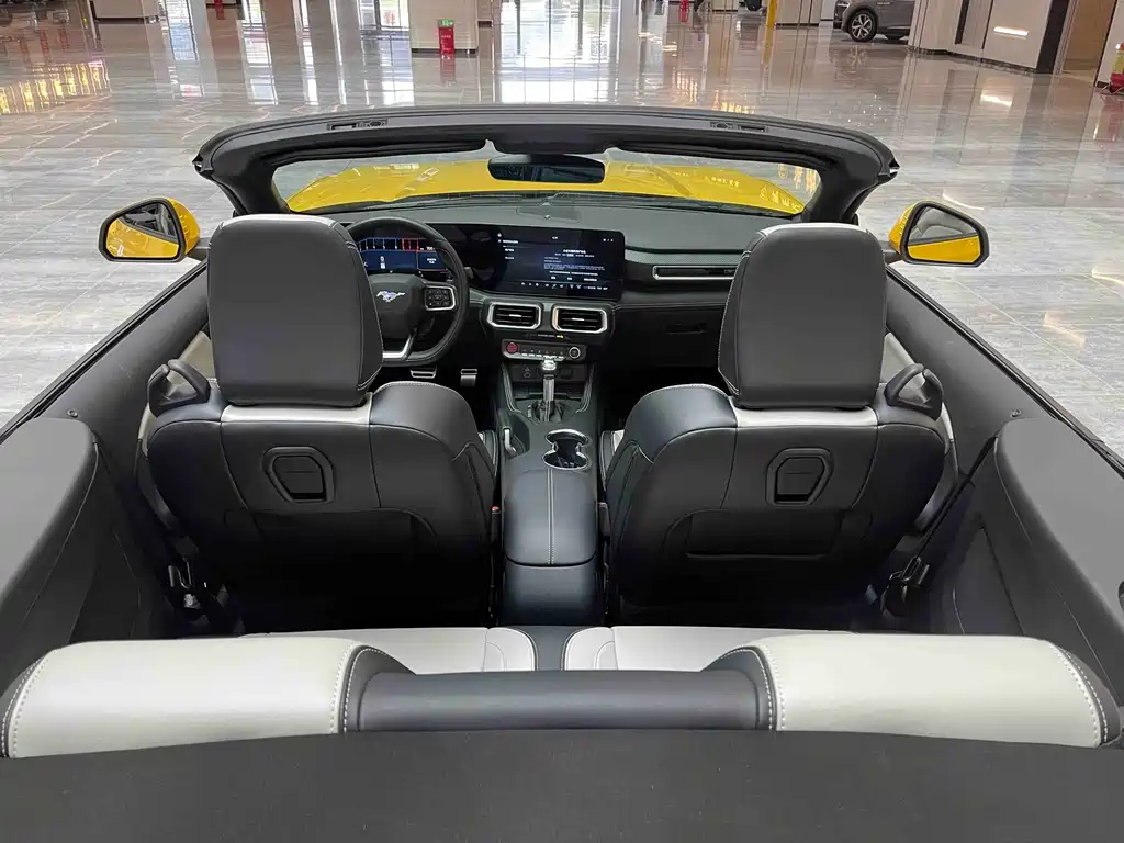 Ford Mustang — миниатюра 13