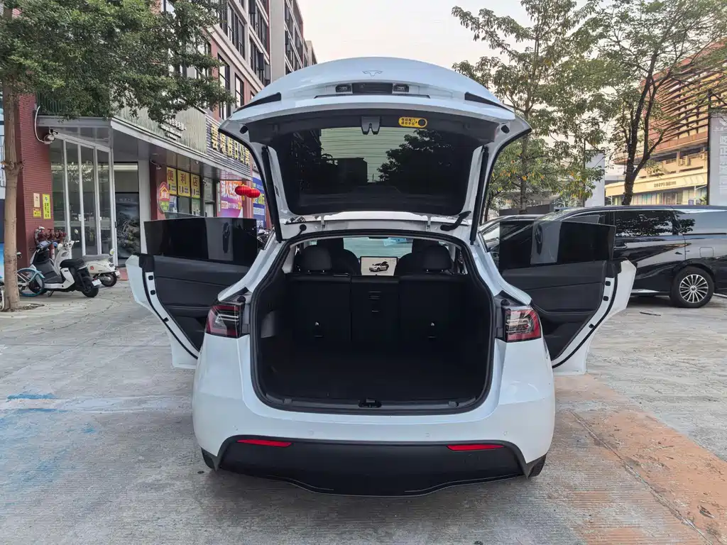 Tesla Model Y — миниатюра 19