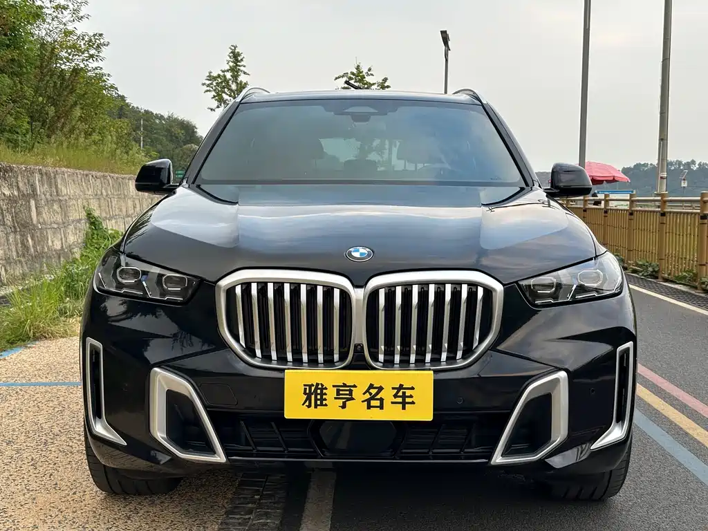 BMW X5 — миниатюра 2
