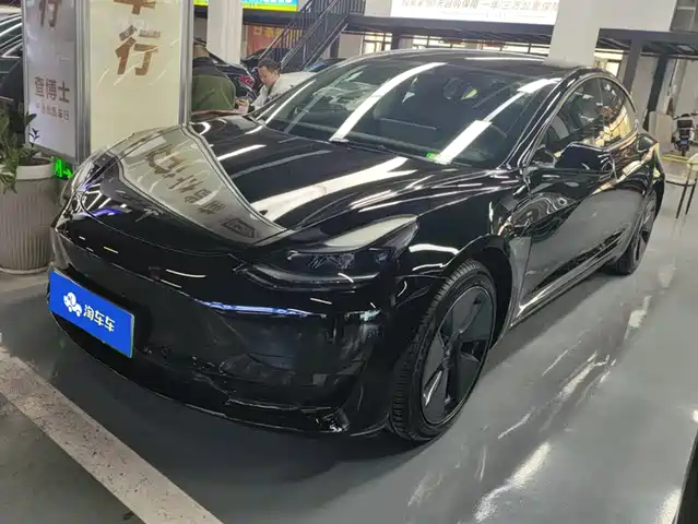 TESLA MODEL 3 2021