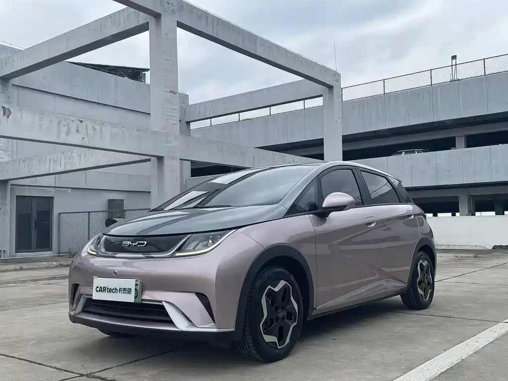 Byd Dolphin 2022