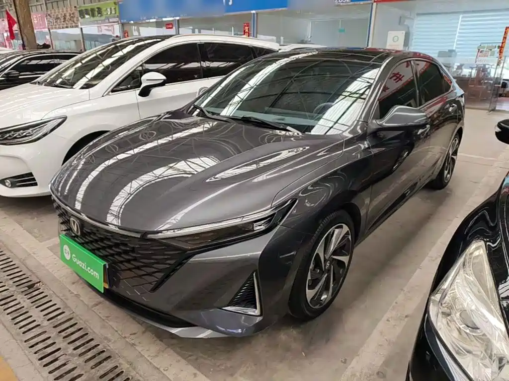 Changan Ruicheng PLUS — миниатюра 2