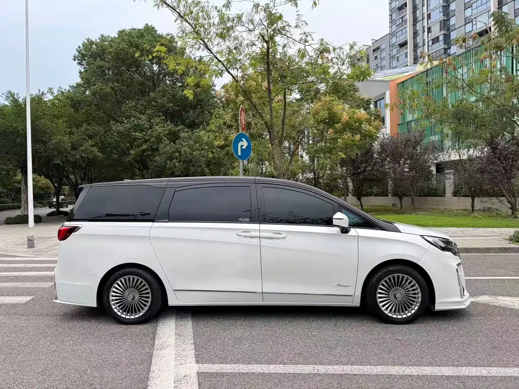 Buick GL8 — миниатюра 10