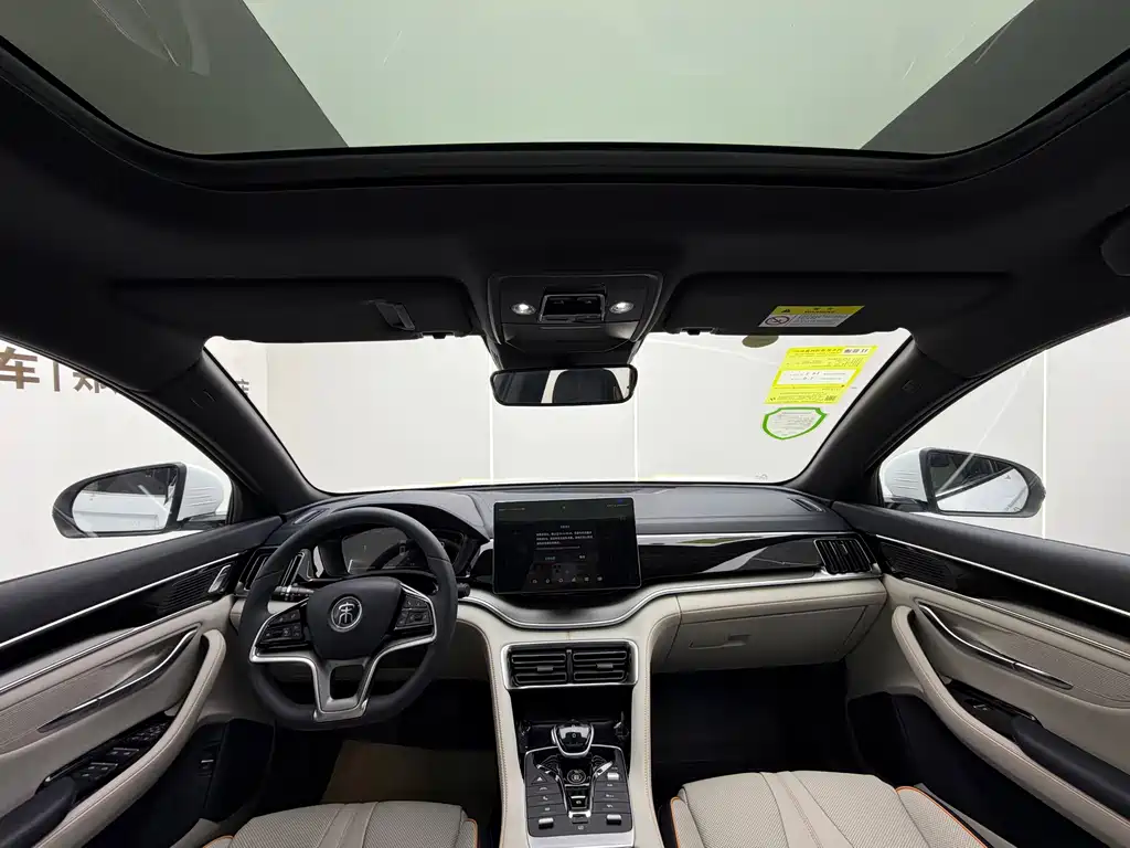 BYD PLUS New Energy — миниатюра 8