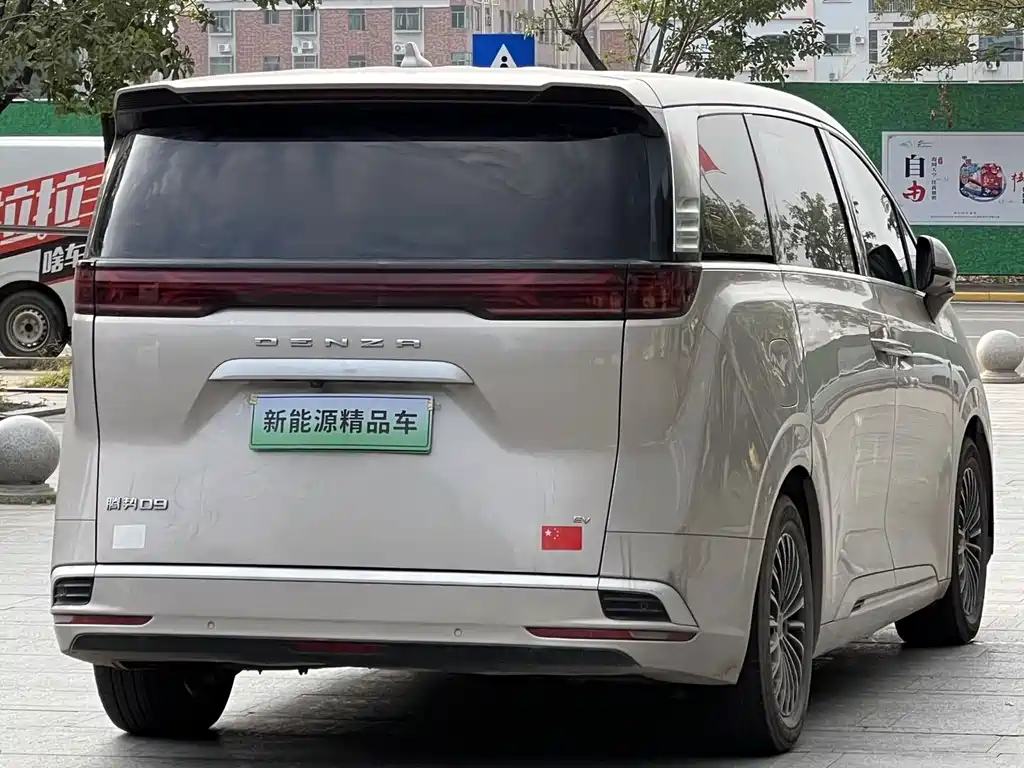 Denza Denza D9 — миниатюра 6