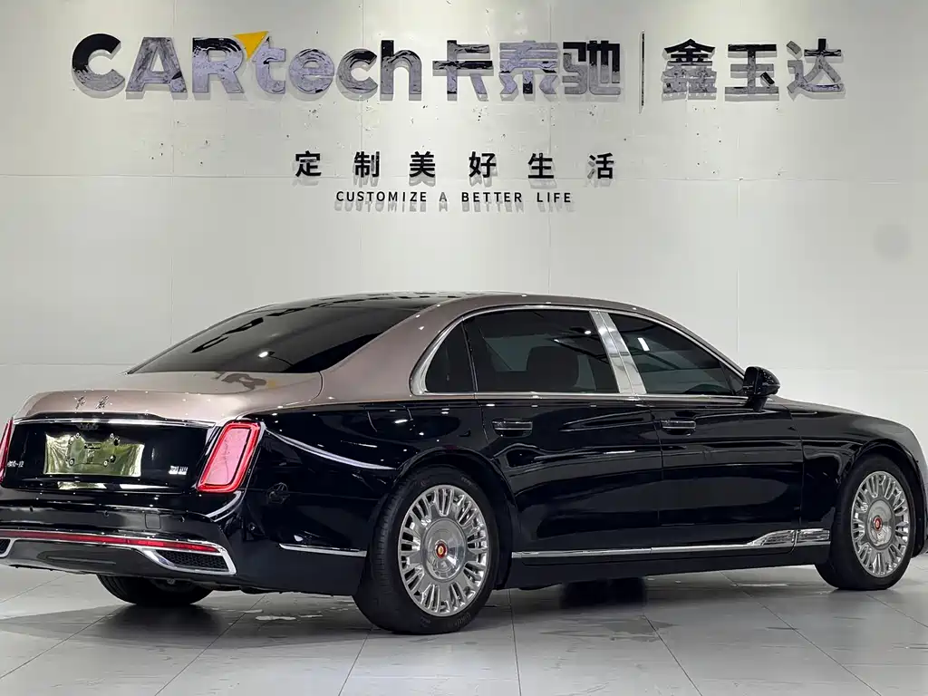 Hongqi Hongqi Golden Sunflower Guoya — миниатюра 4