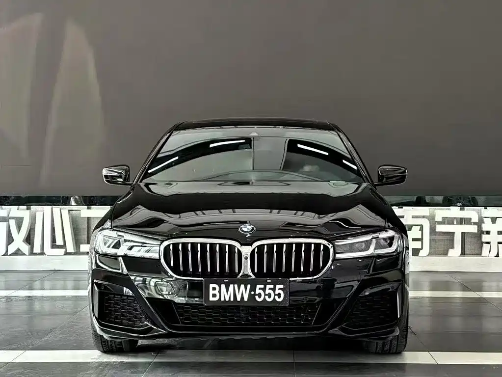 BMW 5 Series — миниатюра 2