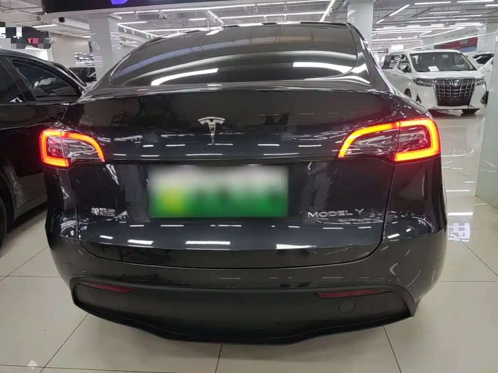 Tesla Model Y — миниатюра 6