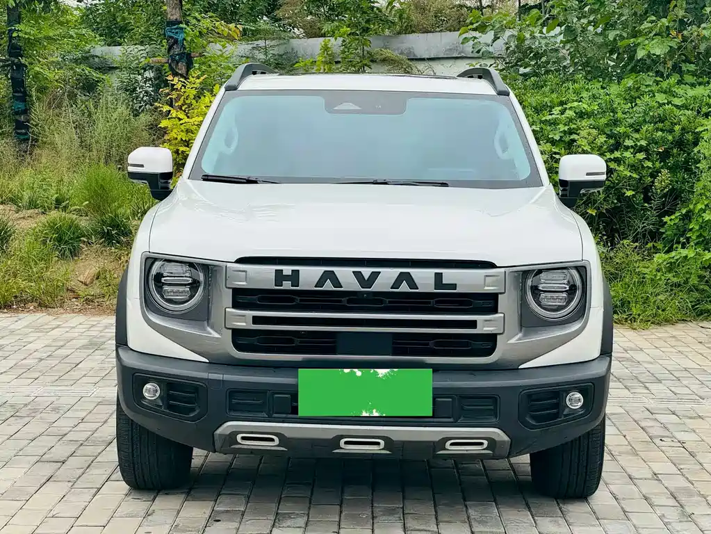 Haval Big Dog — миниатюра 2