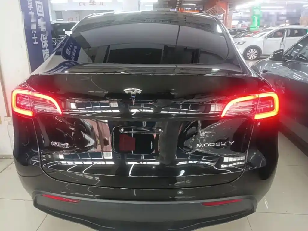 Tesla Model Y — миниатюра 6