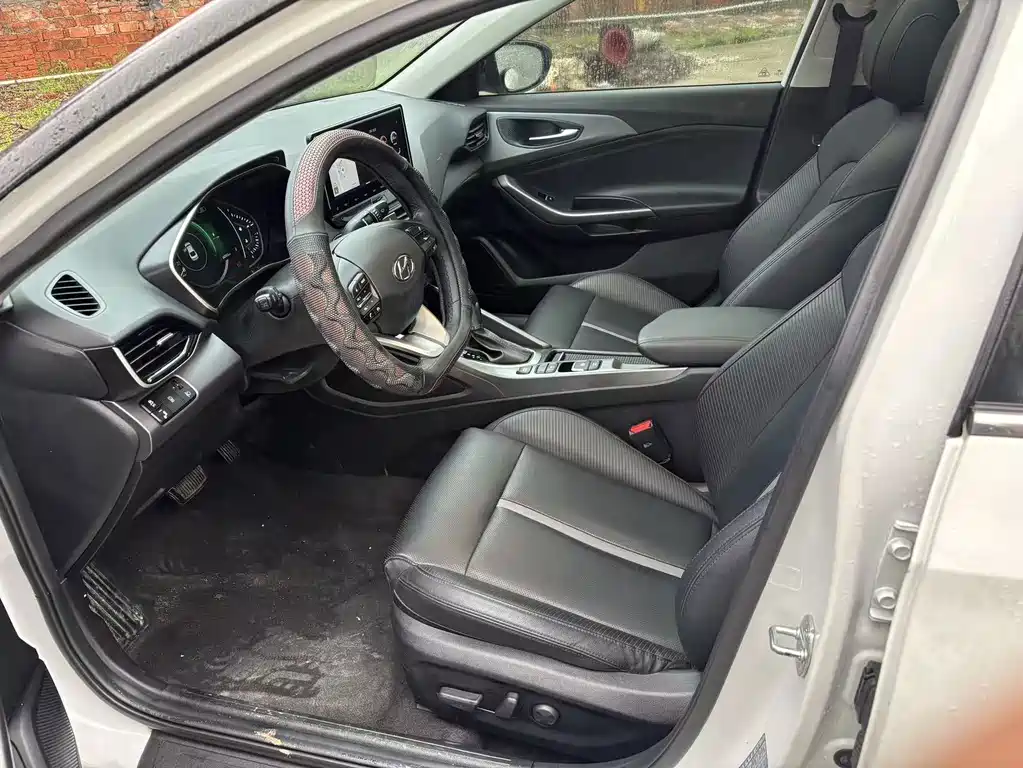 Hyundai Fista — миниатюра 8