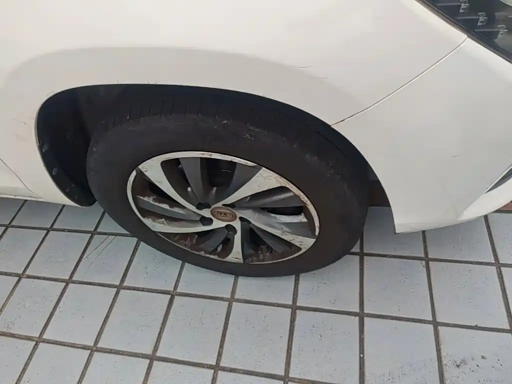 BYD Song — миниатюра 12