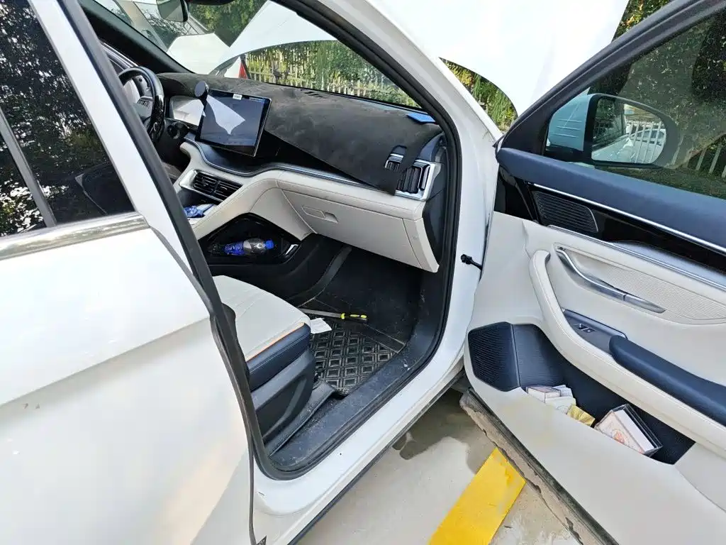 BYD PLUS New Energy — миниатюра 18