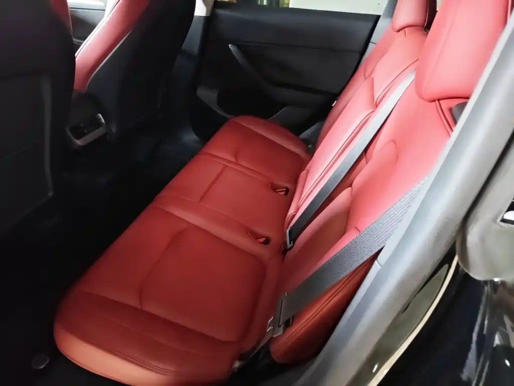 Tesla Model Y — миниатюра 17