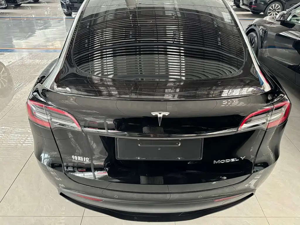 Tesla Model Y — миниатюра 8
