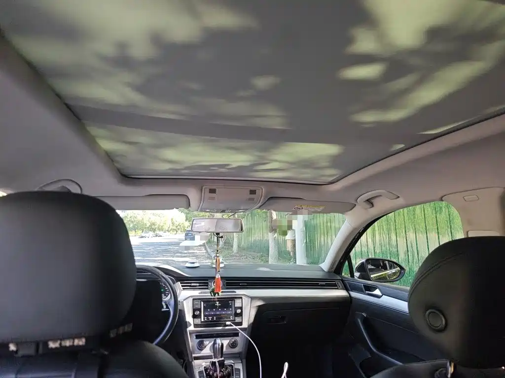 Volkswagen Magotan 2018 280TSI DSG Comfort