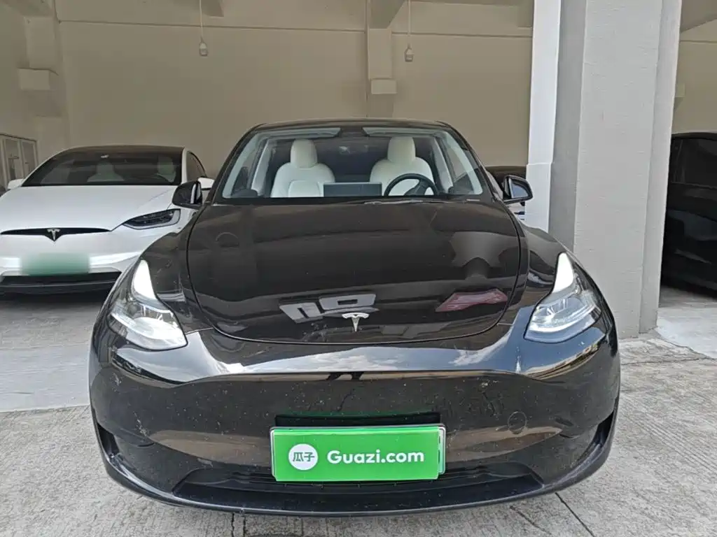 Tesla Model Y — миниатюра 3