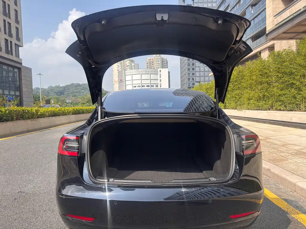 Tesla Model 3 — миниатюра 22