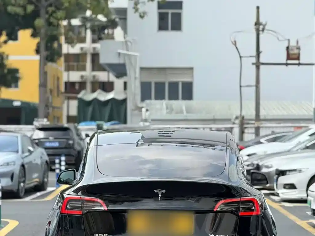 Tesla Model Y — миниатюра 6